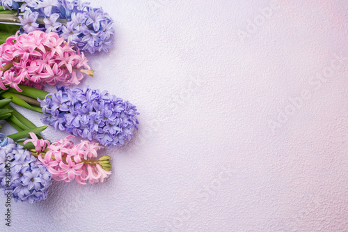 Beautiful hyacinths on a pink-lilac background. Design, postcard, top view