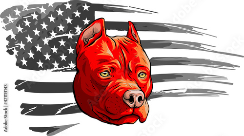 Head of dog with american flag vector illustration