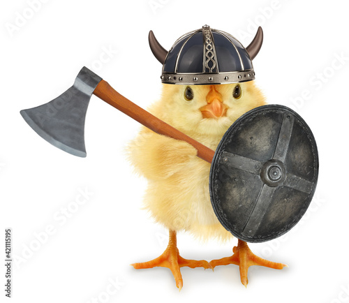 Obraz na plátně Cute cool chick Viking medieval warrior with shield and axe funny conceptual ima