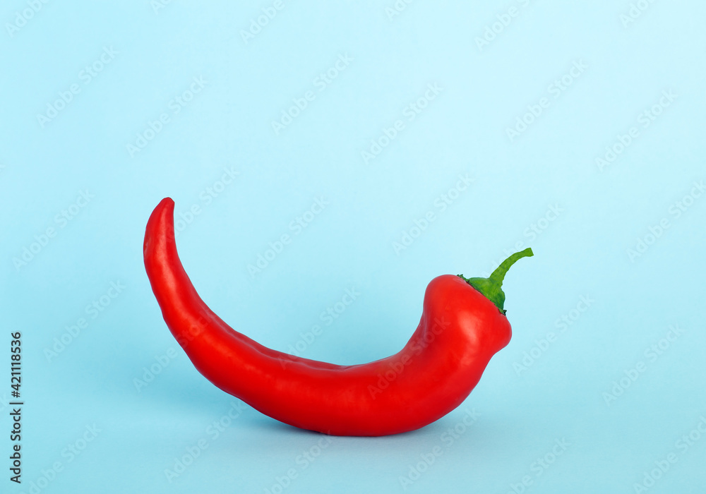 Red hot chili peppers on a blue background. Minimal food vegetables concept