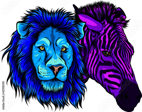 heads of colored zebra and lion vector illustration