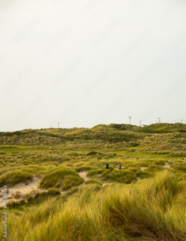 Obraz premium Grass dunes