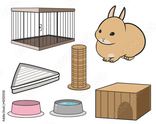 ミニウサギを飼うときの準備