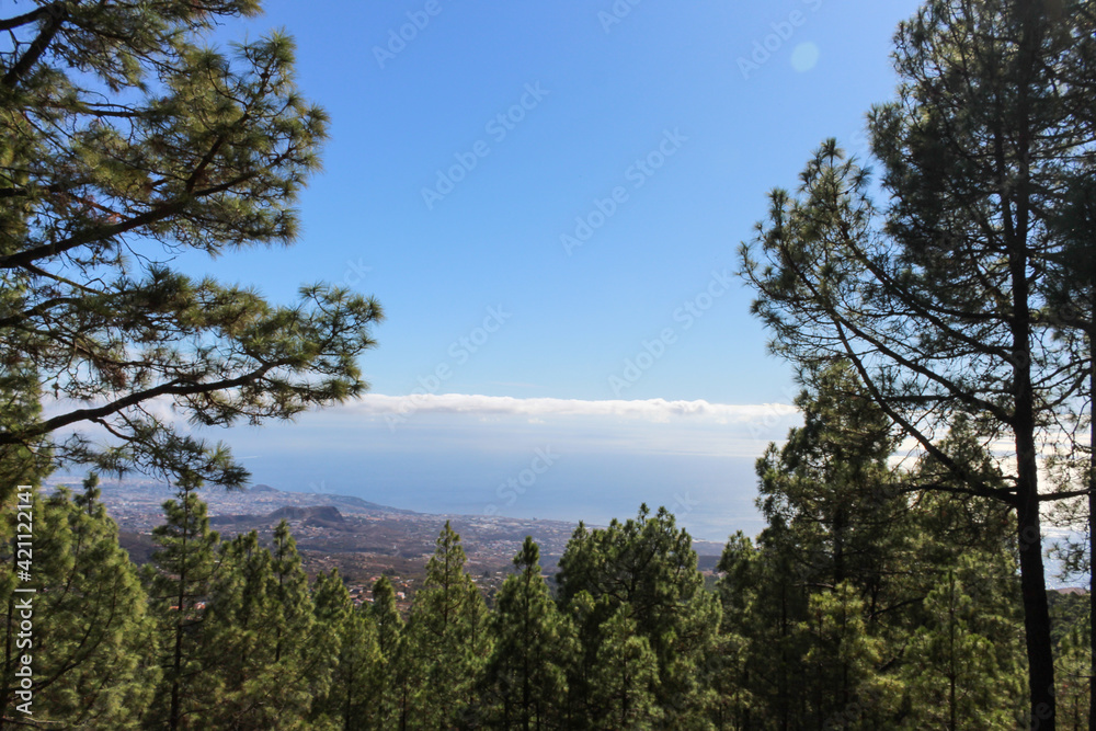 Mountainous landscape in Tenerife with green trees and unrivaled views on Islands Canaries