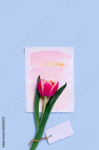 Vertical greeting card with one tulip on watercolor paper on blue background.