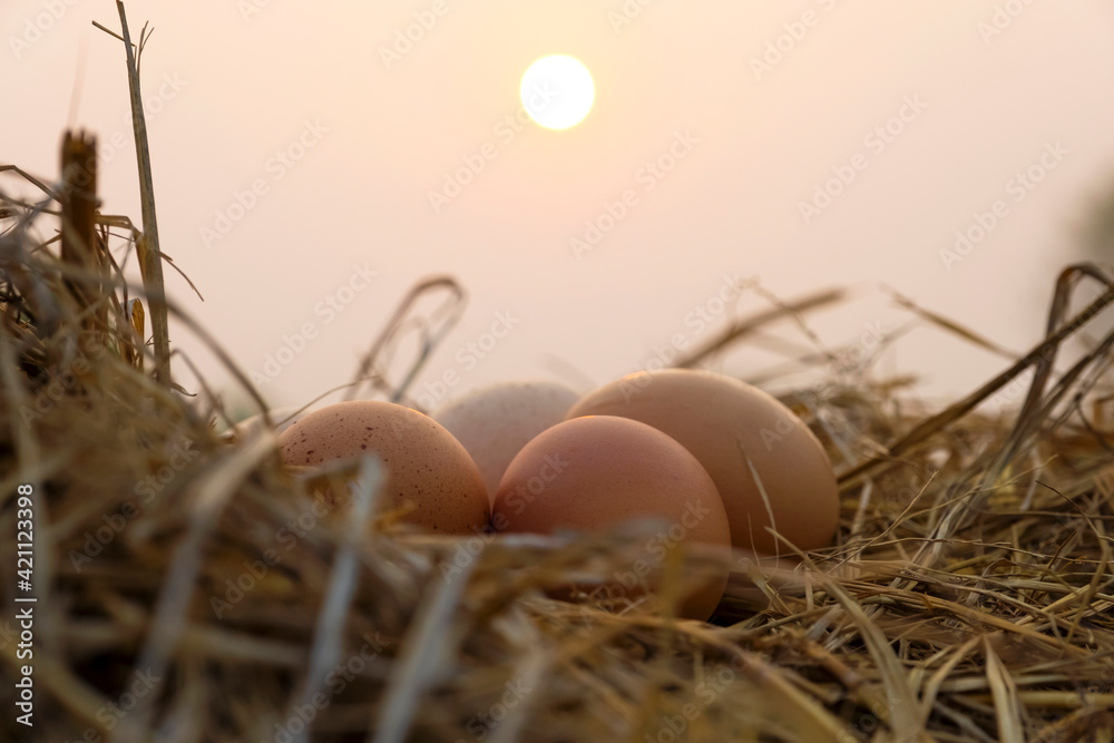 Easter eggs on wooden straw background in the early morning on Easter Holiday. Easter eggs on wooden straw background in the early morning on Easter Holiday.