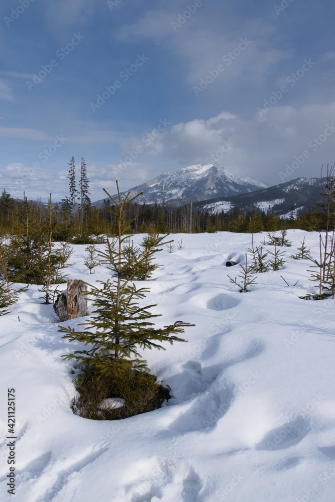 Landscape of Tatry National Park Landscape of Tatry National Park
