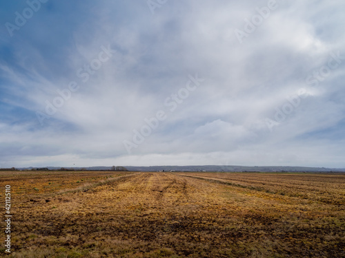 View over The Great Field, Braunton, North Devon, Flat rural landscape, England.