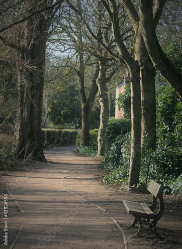 bench in the park © lorraine