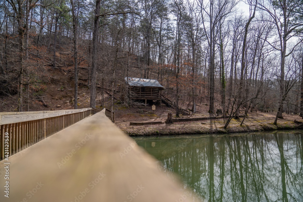 Cabin in the woods Cabin in the woods