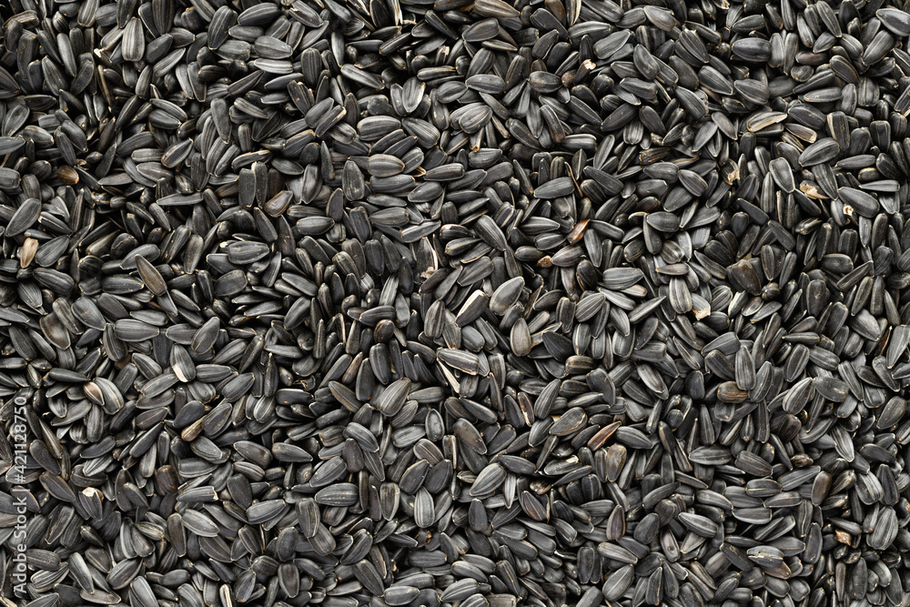 sunflower seeds background, closeup of roasted seeds sunflower seeds background, closeup of roasted seeds