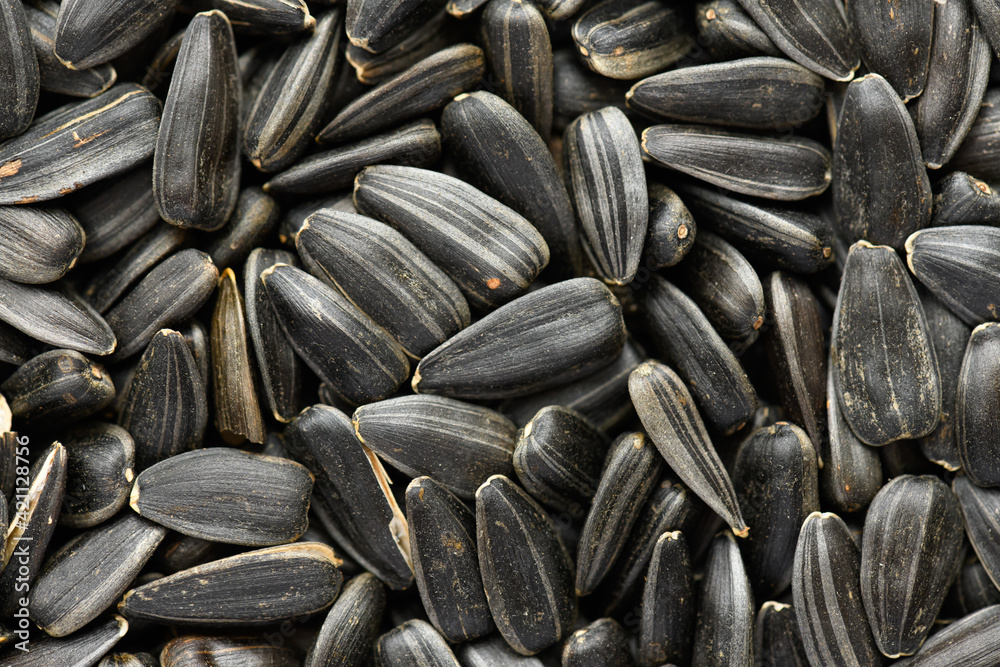 sunflower seeds background, closeup of roasted seeds sunflower seeds background, closeup of roasted seeds