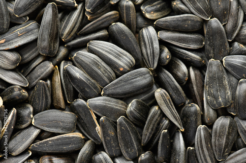 sunflower seeds background, closeup of roasted seeds