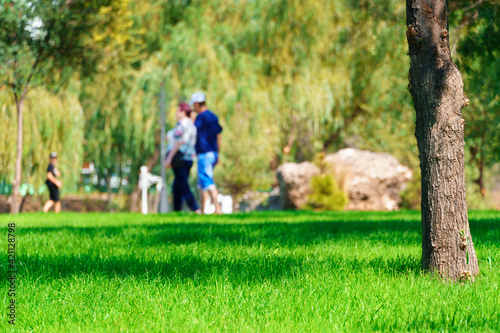 Fototapeta Naklejka Na Ścianę i Meble -  people walking and children playing in a city park on a summer day, green lawns with grass and trees, paths and benches, bright sunlight and shadows