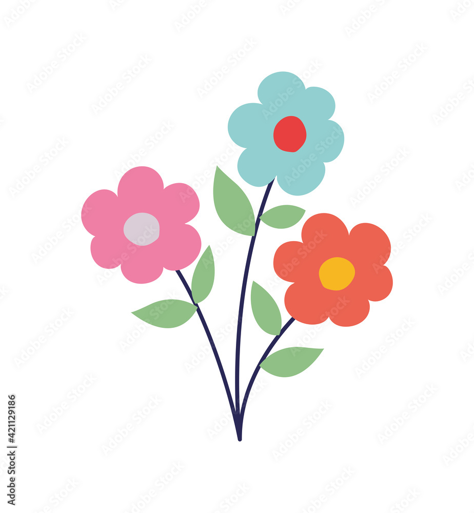 three flowers isolated three flowers isolated