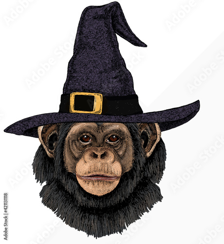 Vector chimpanzee portrait. Ape head, monkey face.