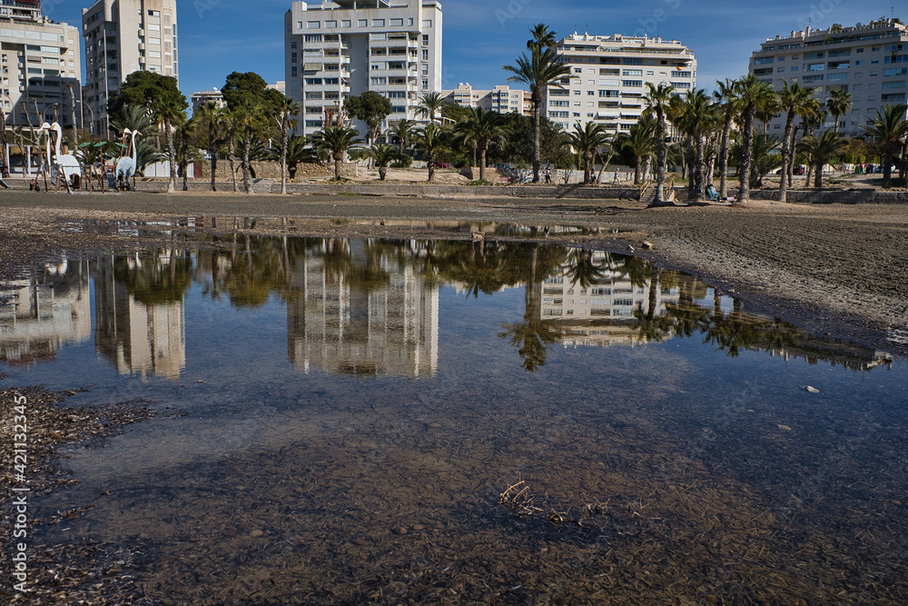 Fototapeta premium beach with palm trees, reflections and shadows, located in Alicante, Spain.