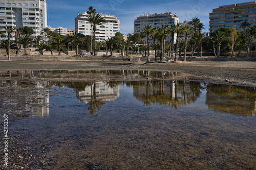 beach with palm trees  reflections and shadows  located in Alicante  Spain.