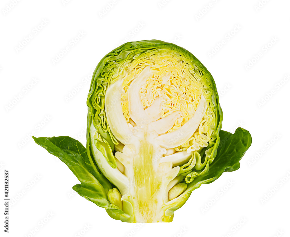 Obraz premium cross section of one brussels sprouts, close-up, isolated on white background