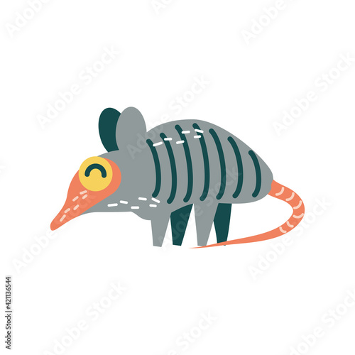 armadillo tropical animal
