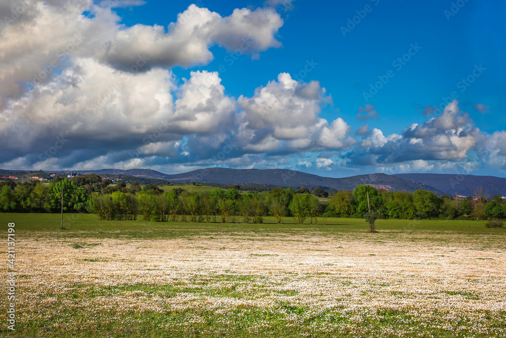 Landscape with sky and clouds and mountains background. View of Serra de Aire, Portugal from the park of Olhos de Água Landscape with sky and clouds and mountains background. View of Serra de Aire, Portugal from the park of Olhos de Água