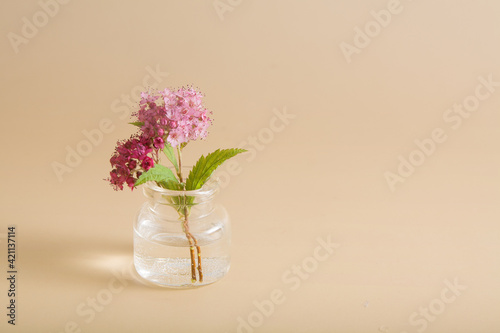 miniature pink wildflower in a glass bottle on a beige background. Minimalism concept, greeting card with copy space