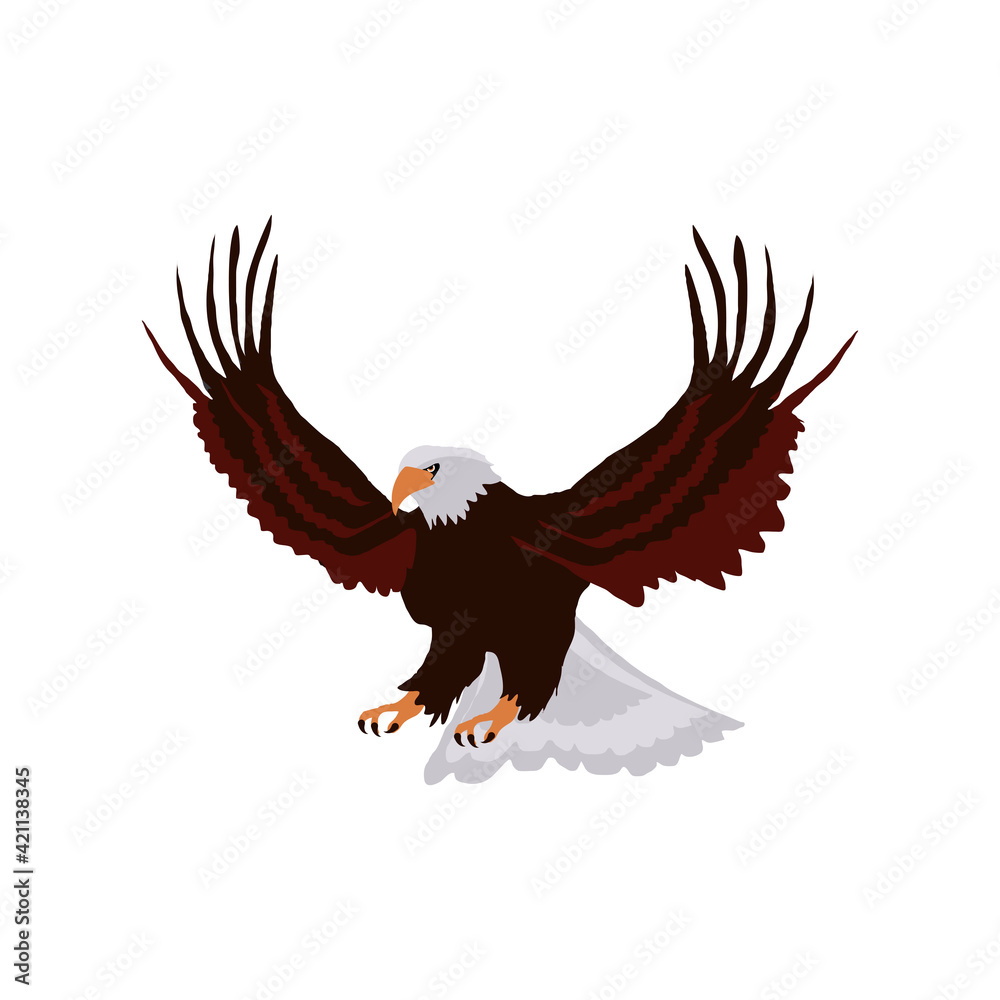 Fototapeta premium bald eagle bird