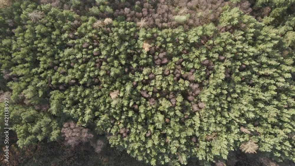A top down 4k drone shot flying over autumn forest and fields. A top down 4k drone shot flying over autumn forest and fields.