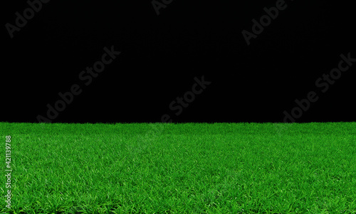 Bright green lawn There are long, short grasses alternating. Side view of the grass or green field with a black background.3D Rendering