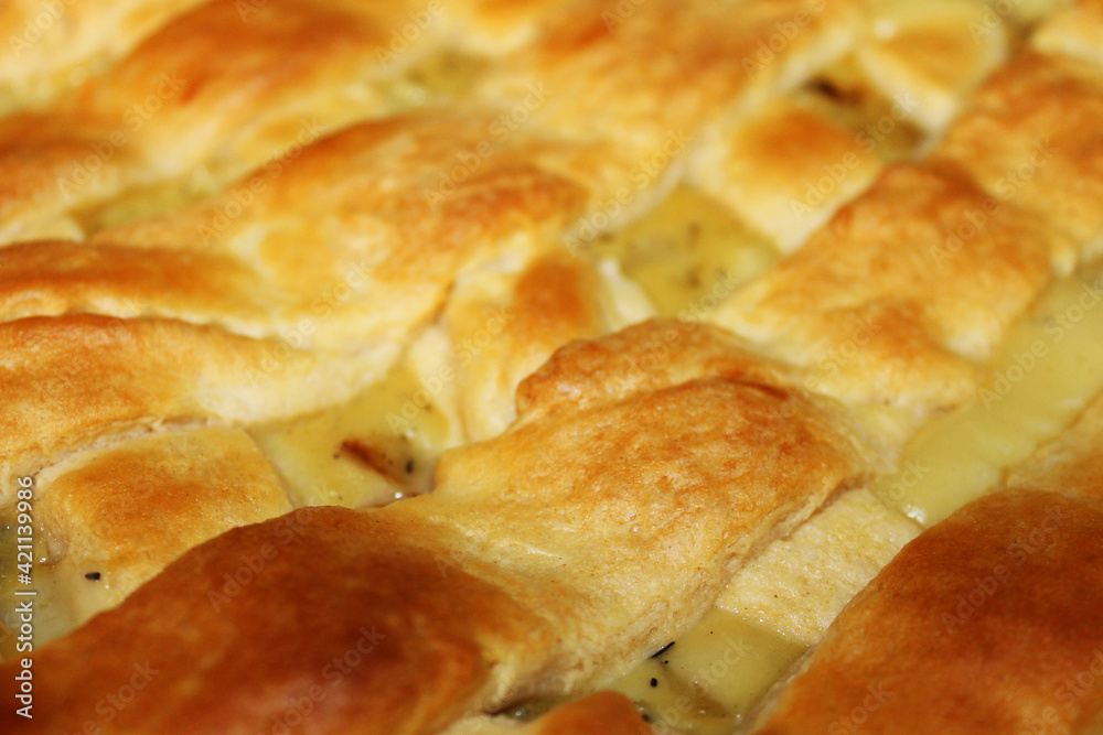 Close-up of a chicken pot pie with golden brown latticed pastry. Close-up of a chicken pot pie with golden brown latticed pastry.