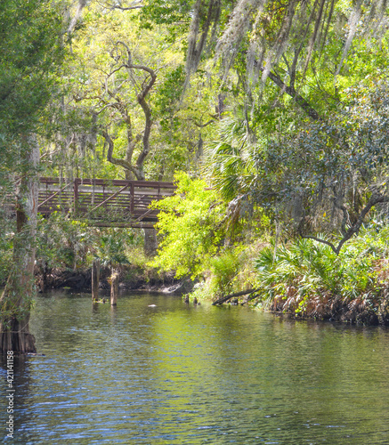 A bridge over Shingle Creek in the Shingle Creek Regional Park, Osceola County, Kissimmee, Florida