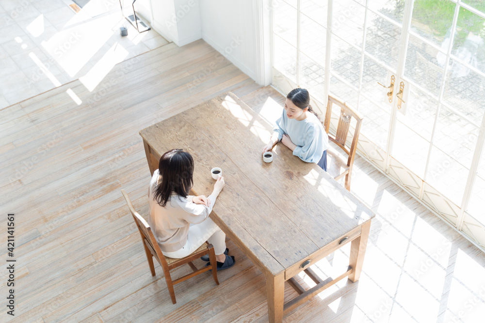 リビングで雑談をする女性 リビングで雑談をする女性