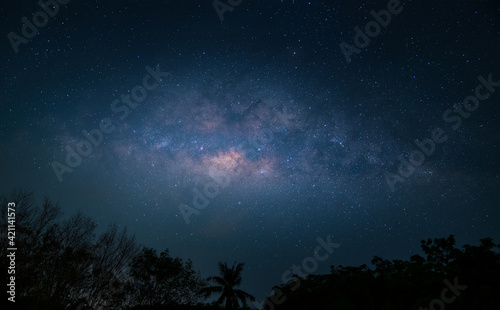 milky way over forest on night