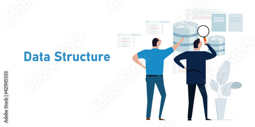 data structure database analyst looking into schema information