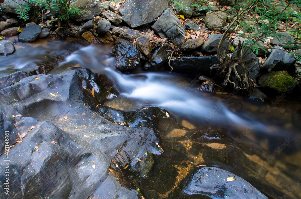 Obraz premium Forest river stream. River wild in forest.