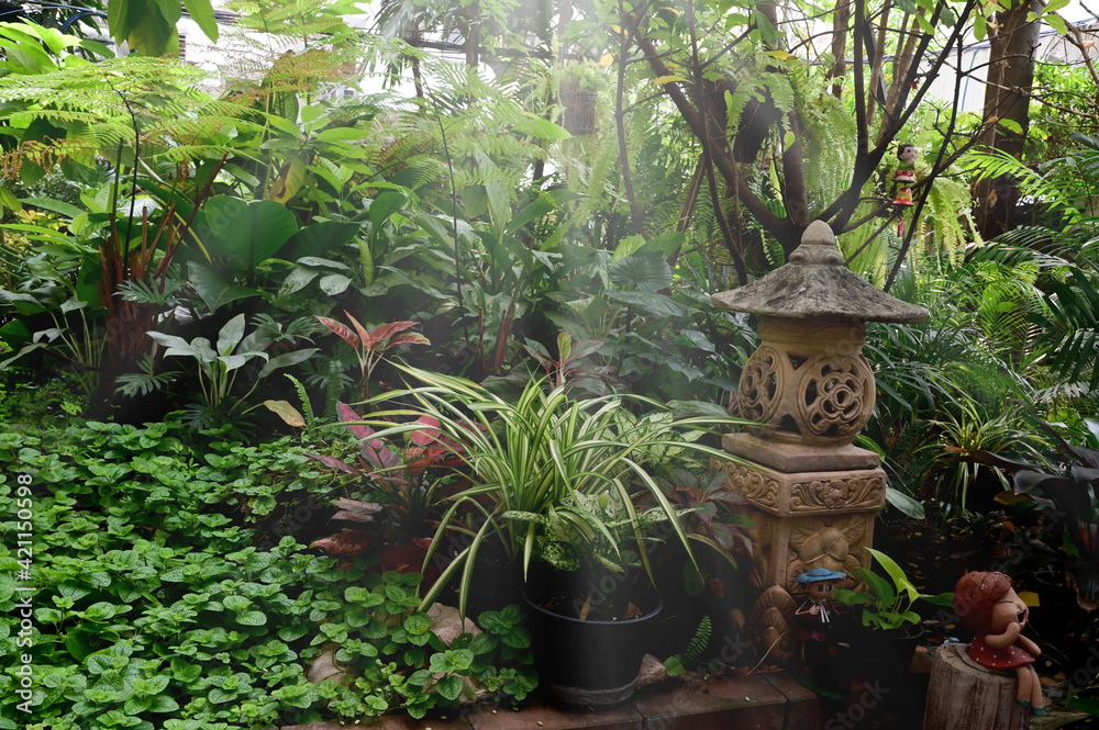 A shady garden covered with green trees shining for design and decoration in garden. A shady garden covered with green trees shining for design and decoration in garden.