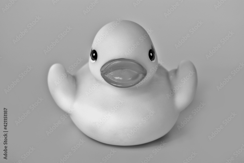 rubber duck in black and white rubber duck in black and white