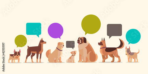 group of purebred dogs with chat bubble speech furry human friends home pets collection concept cartoon animals horizontal © mast3r