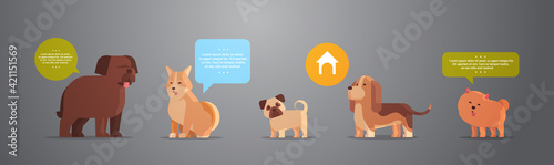group of purebred dogs furry human friends home pets collection concept cartoon animals horizontal