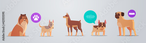 group of purebred dogs with furry human friends home pets collection concept cartoon animals horizontal