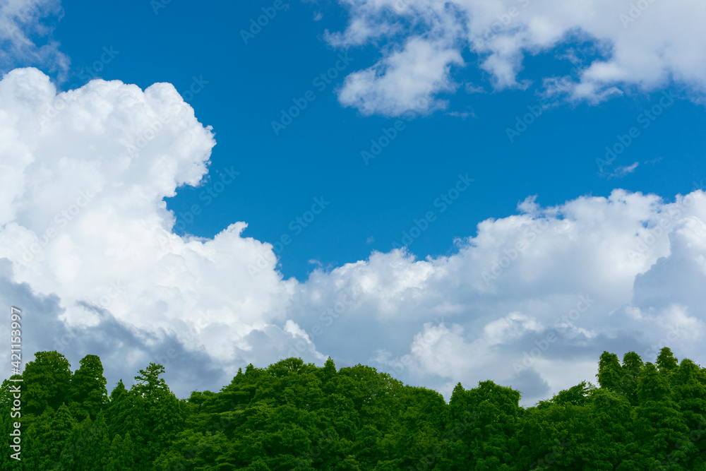 Blue sky, clouds and forest. 青空と雲と森 Blue sky, clouds and forest. 青空と雲と森