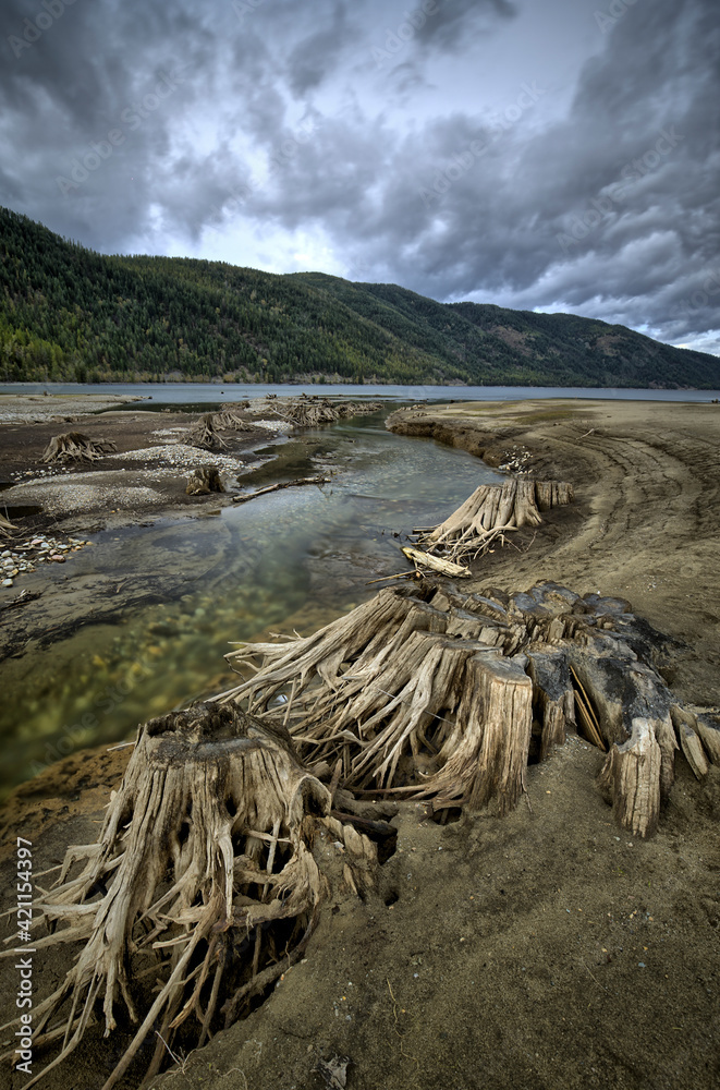 An HDR image of Harvey Creek winding into Sullivan Lake near Metaline Falls, Washington. An HDR image of Harvey Creek winding into Sullivan Lake near Metaline Falls, Washington.