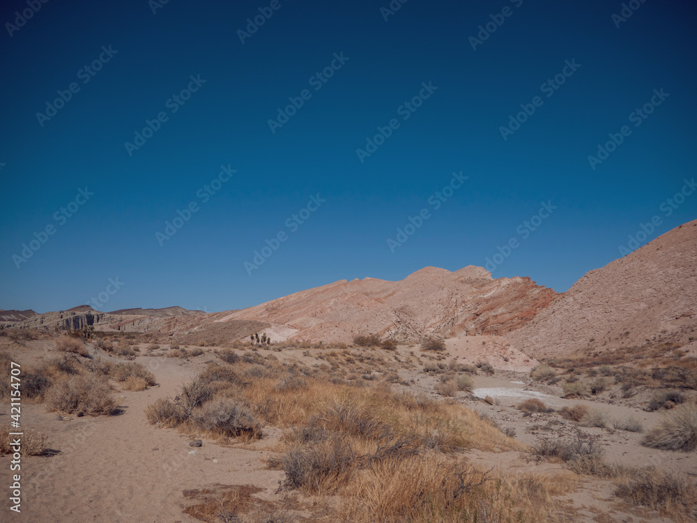 Panoramic View of Red Rock Canyon State Park