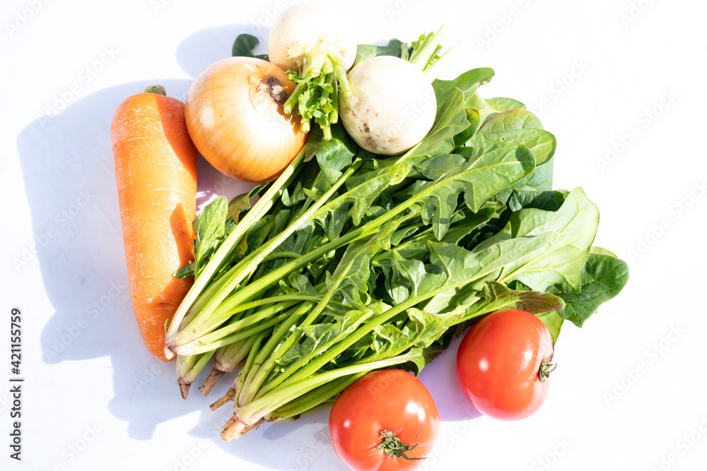 新鮮野菜 野菜 緑黄色野菜
新鮮野菜 野菜 緑黄色野菜