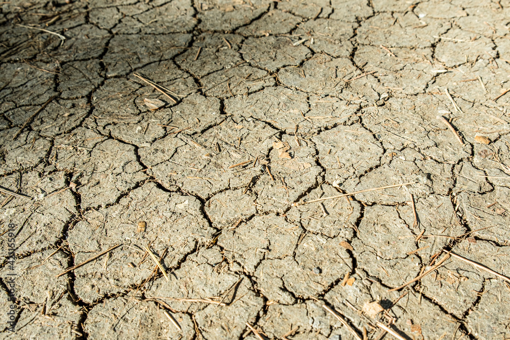 Brown dry cracked ground with dried old leaves. Dried clay texture and patterns cracked surface of clay and land. Brown dry cracked ground with dried old leaves. Dried clay texture and patterns cracked surface of clay and land.