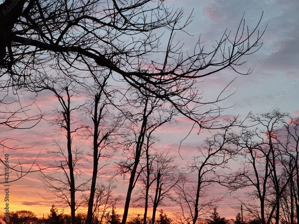 Obraz premium Sunrise beautiful 