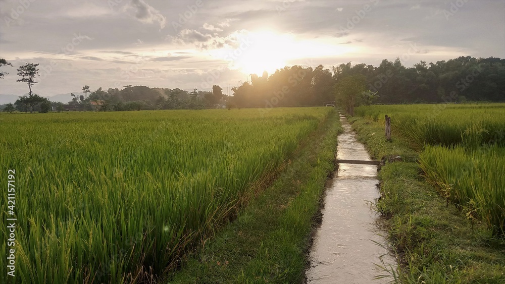 Obraz premium afternoon river