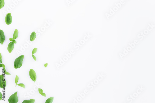 Green basil, mint leaves, white background. Healthy eating and cosmetics concept