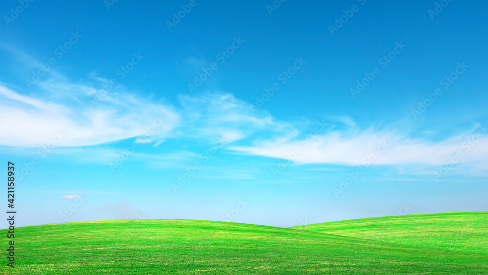Green meadow with blue sky Summer meadow background concept on a nice day.