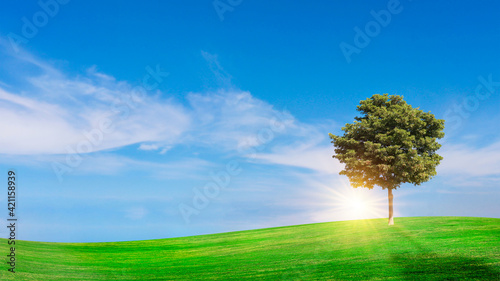 Green meadow with blue sky Summer meadow background concept on a nice day. © Arthon